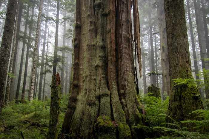 British Columbia